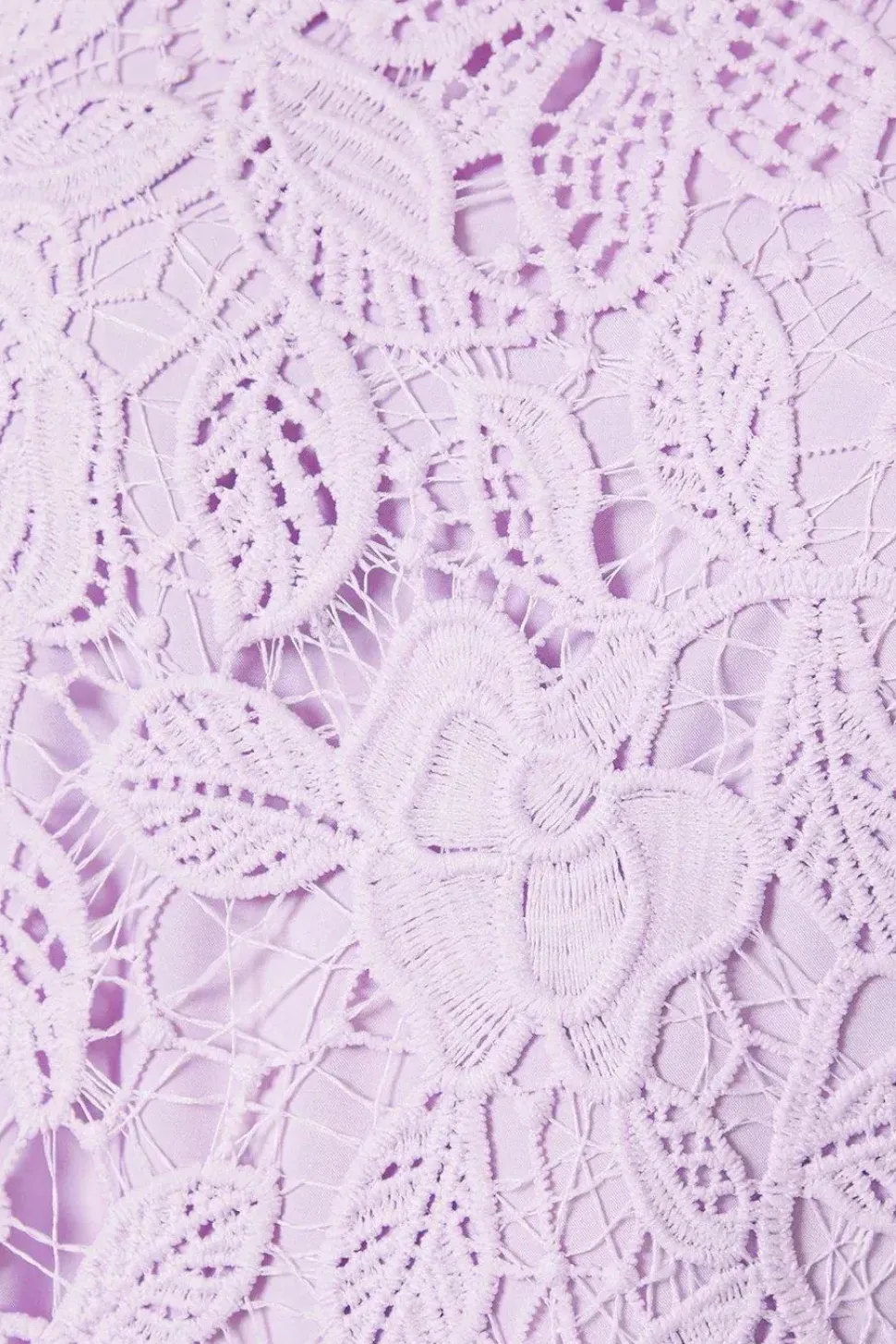 Occasion Lace Short Sleeve Mini Dress