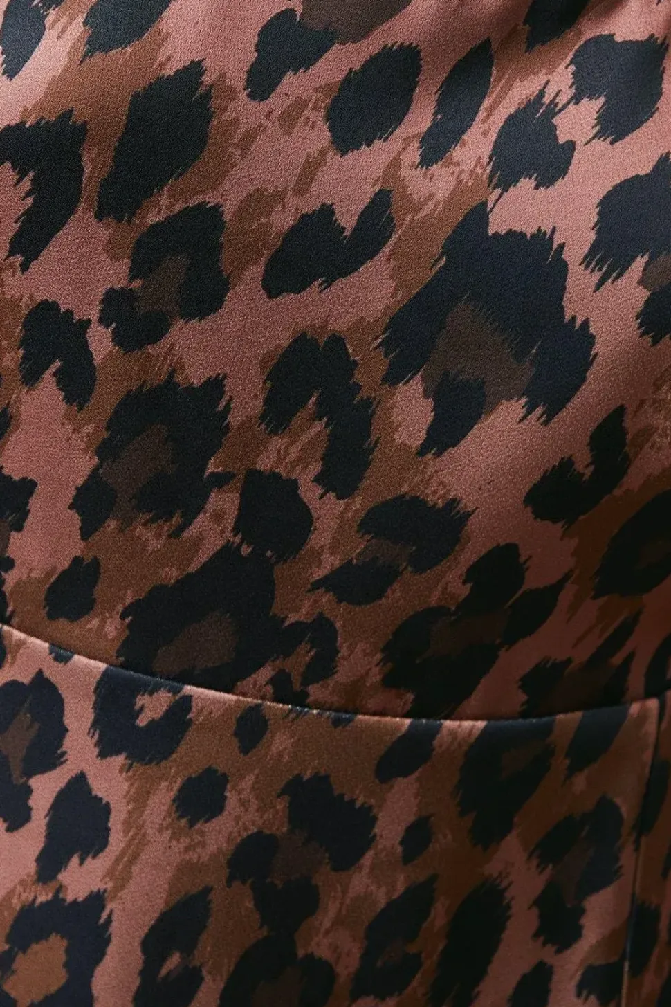 Occasion Leopard Velvet Tie Maxi Dress