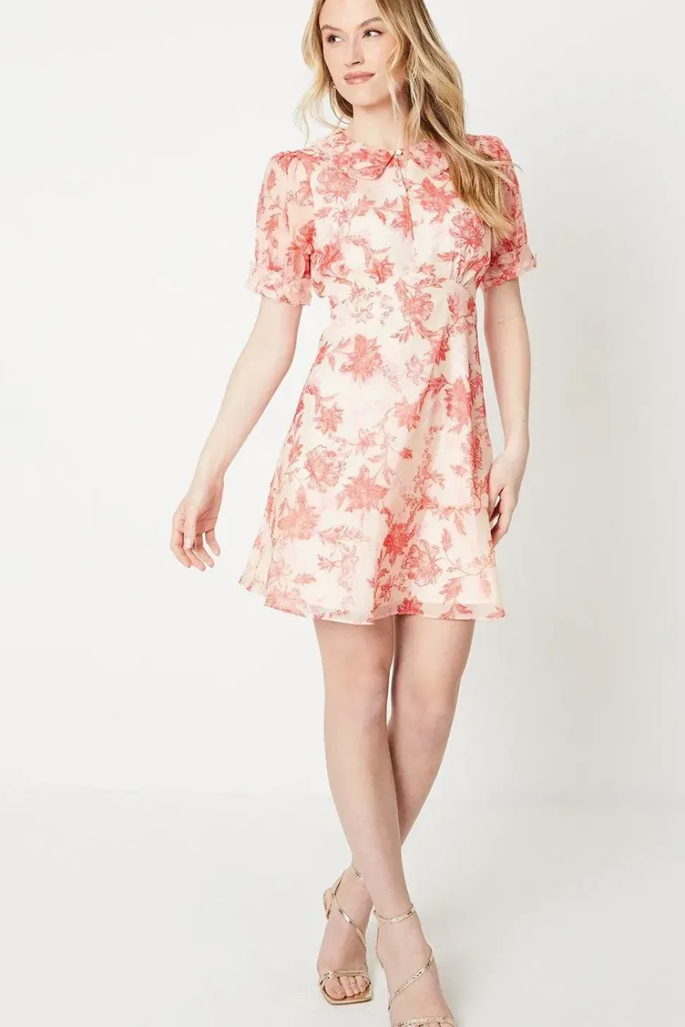 Occasion Paisley 3D Organza Mini Dress