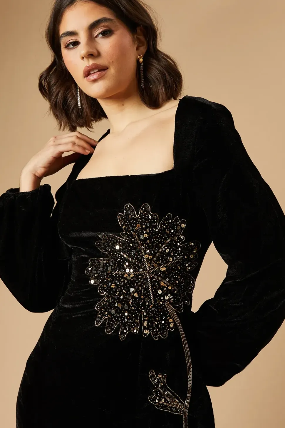 Occasion Premium Velvet Embellished Mini Dress
