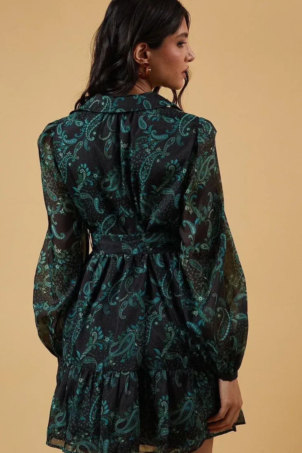Organza Collared Mini Dress