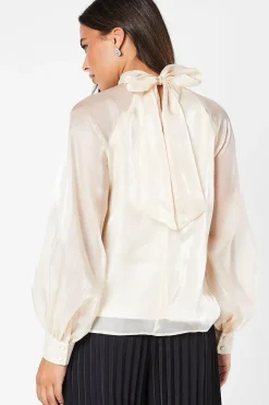 Organza Long Sleeve High Neck Blouse