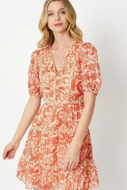 Paisley Burnout Chiffon Stripe Trim Mini Dress