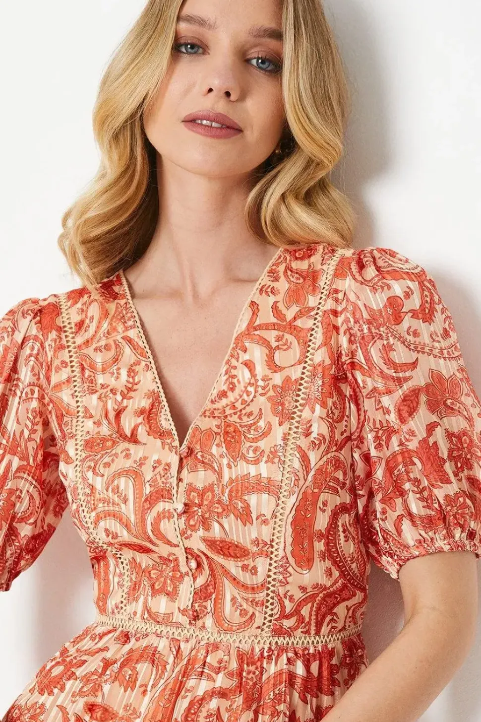 Paisley Burnout Chiffon Stripe Trim Mini Dress