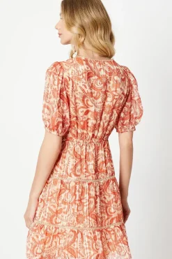 Paisley Burnout Chiffon Stripe Trim Mini Dress