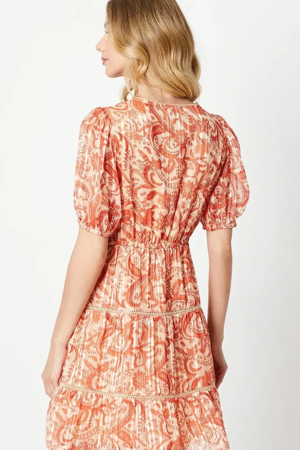 Paisley Burnout Chiffon Stripe Trim Mini Dress