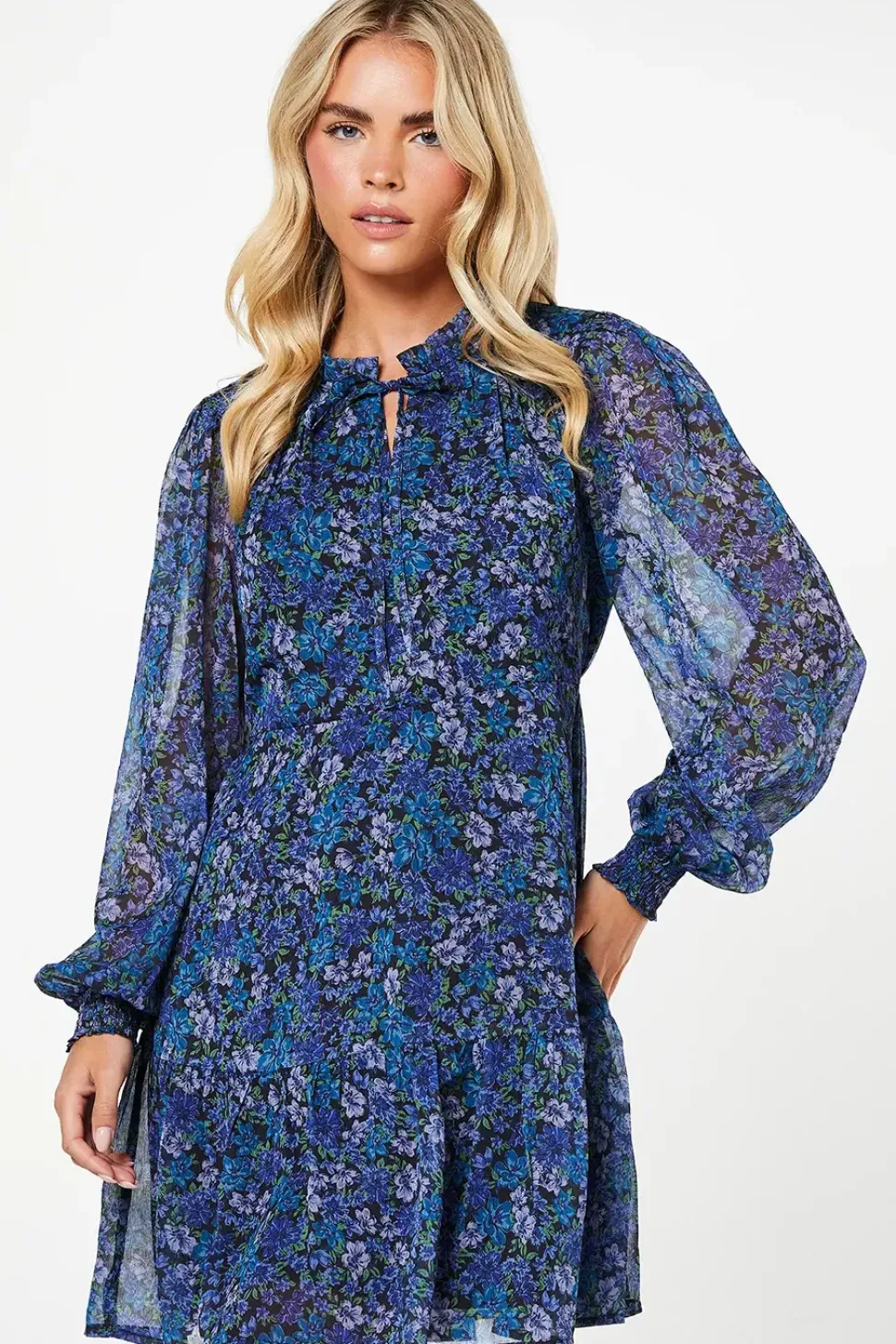 Petite Blue Ditsy Chiffon Ruffle Hem Long Sleeve Mini Dress