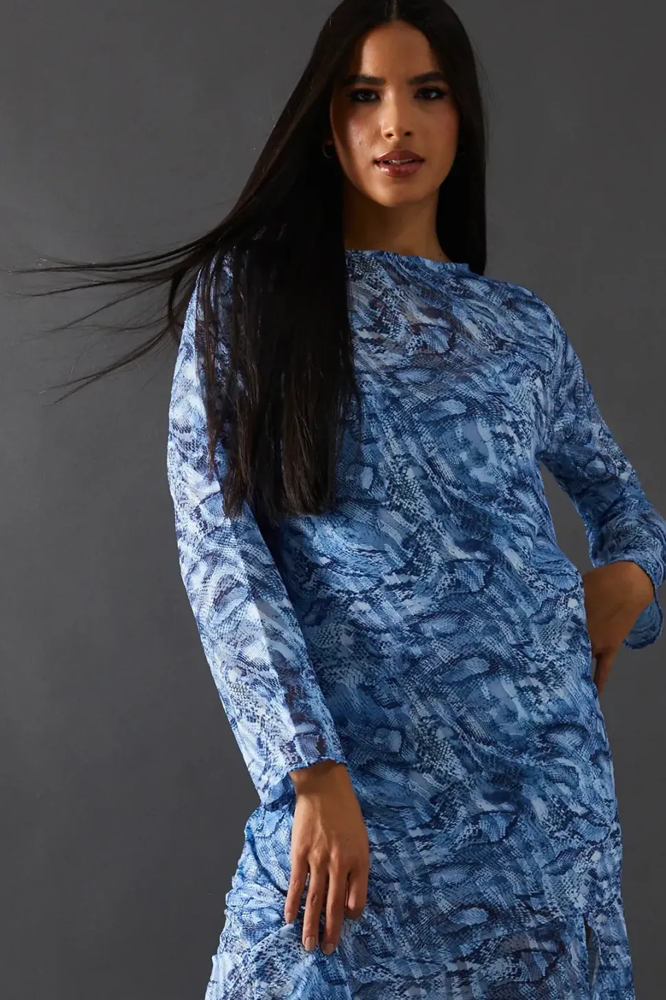 Petite Burnout Snake Chiffon Column Long Sleeve Maxi Dress