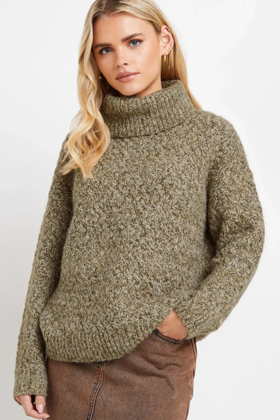 Petite Chunky Roll Neck Jumper
