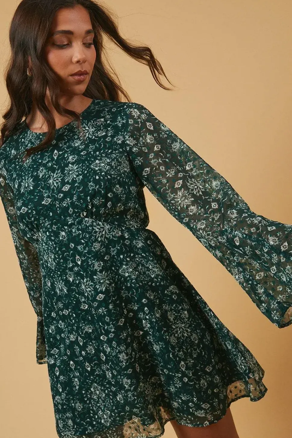 Petite Dobby Chiffon Flared Sleeve Tie Back Mini Dress