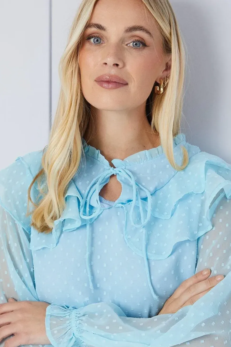 Petite Dobby Ruffle Tie Neck Blouse