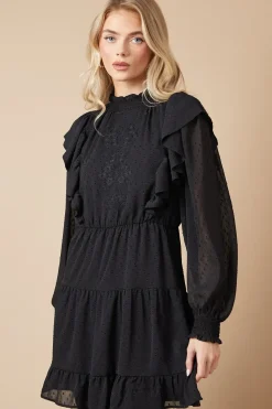 Petite Embroidered Dobby Chiffon Mini Dress