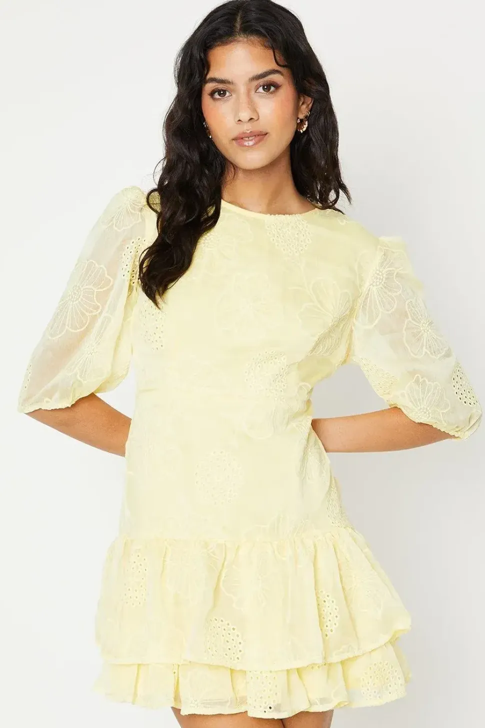 Petite Floral Embroidered Organza Tiered Mini Dress