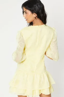 Petite Floral Embroidered Organza Tiered Mini Dress