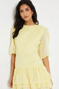 Petite Floral Embroidered Organza Tiered Mini Dress