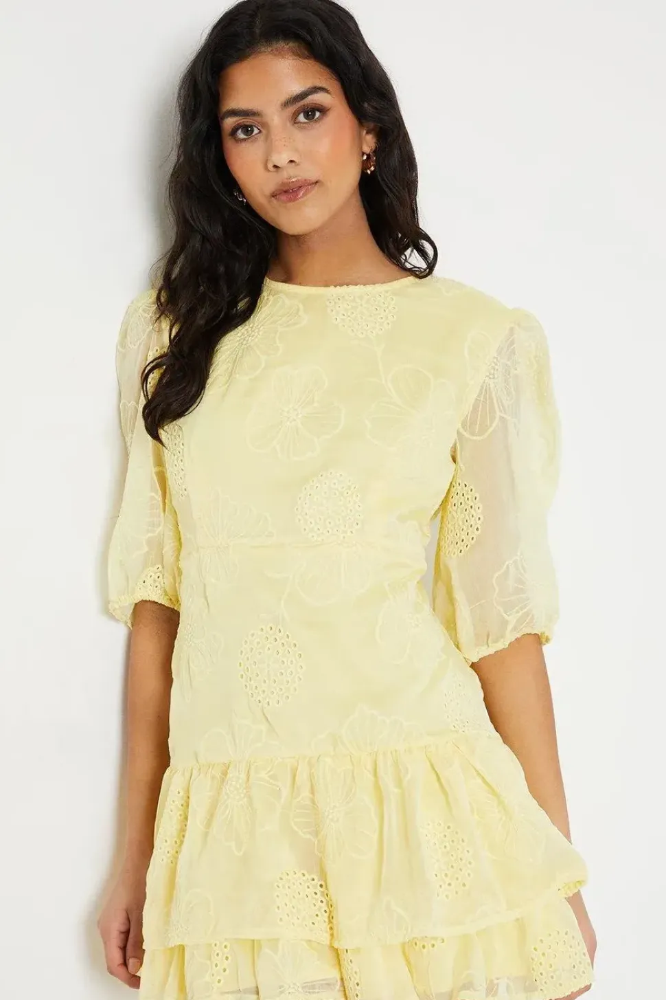 Petite Floral Embroidered Organza Tiered Mini Dress