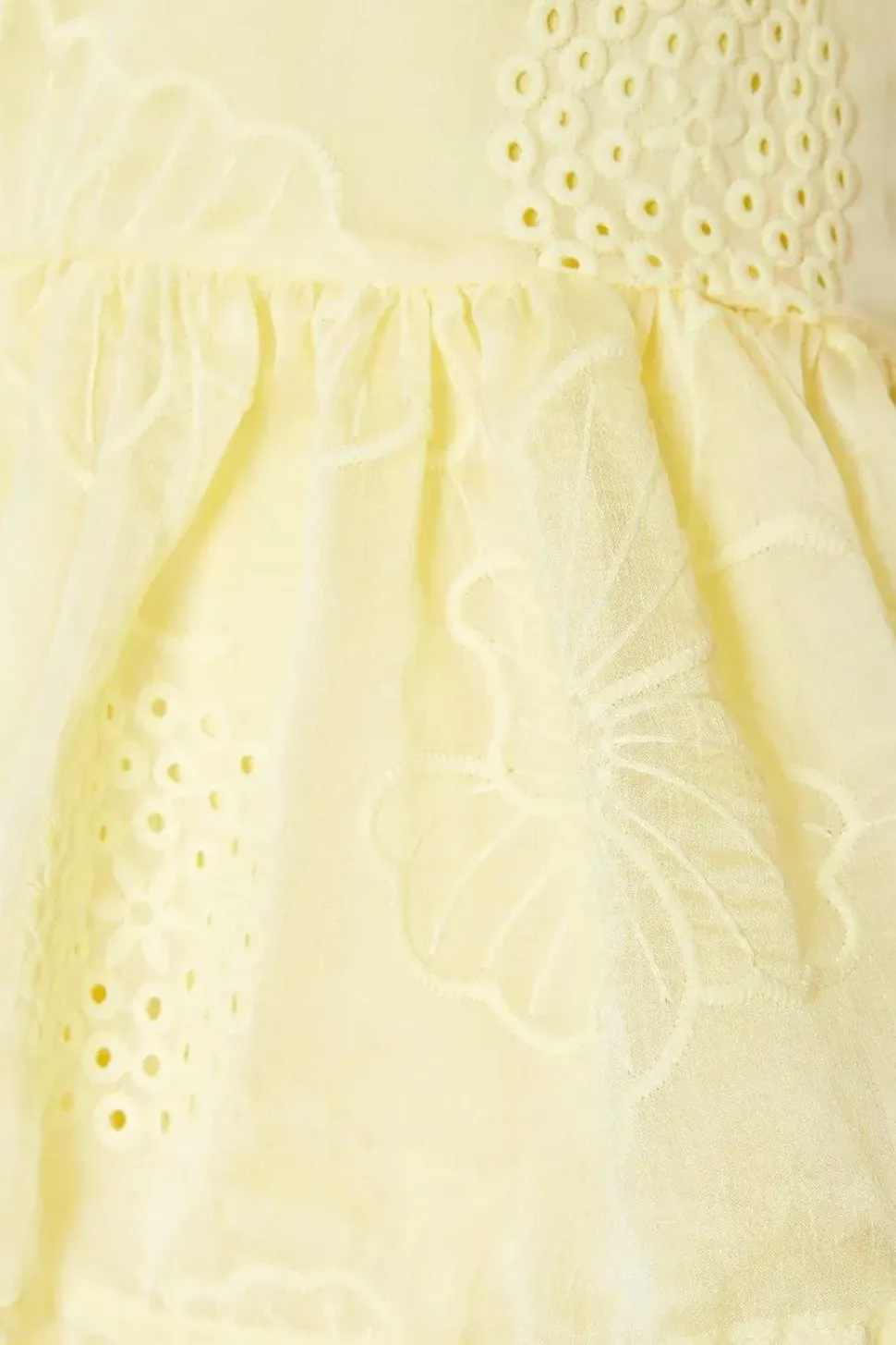 Petite Floral Embroidered Organza Tiered Mini Dress