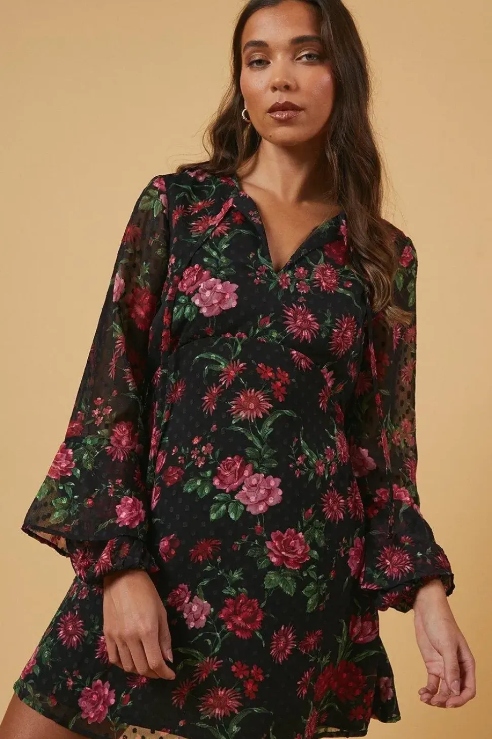 Petite Floral Tie Dobby Chiffon Mini Dress