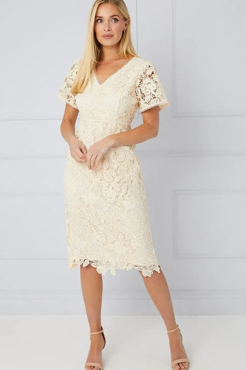 Petite Lace Flare Sleeve Pencil Dress
