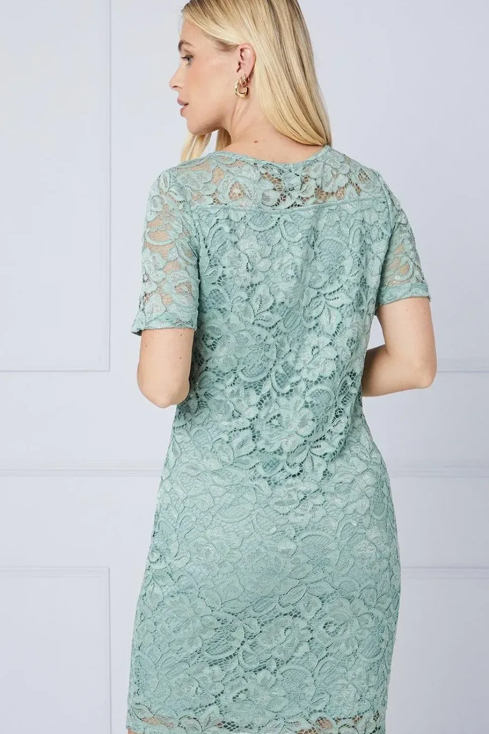 Petite Lace Short Sleeve Pencil Dress