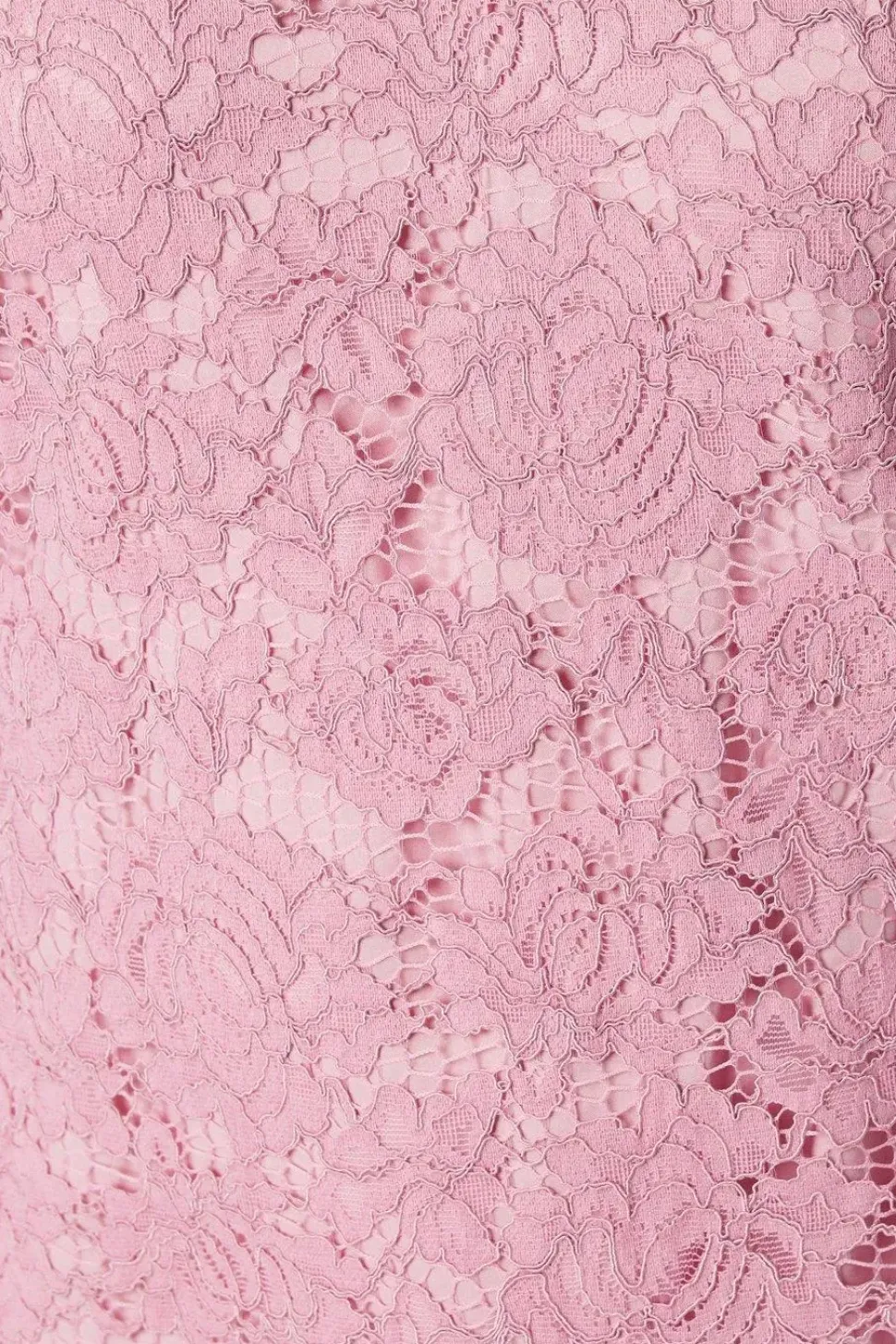 Petite Lace ¾ Sleeve Shift Dress