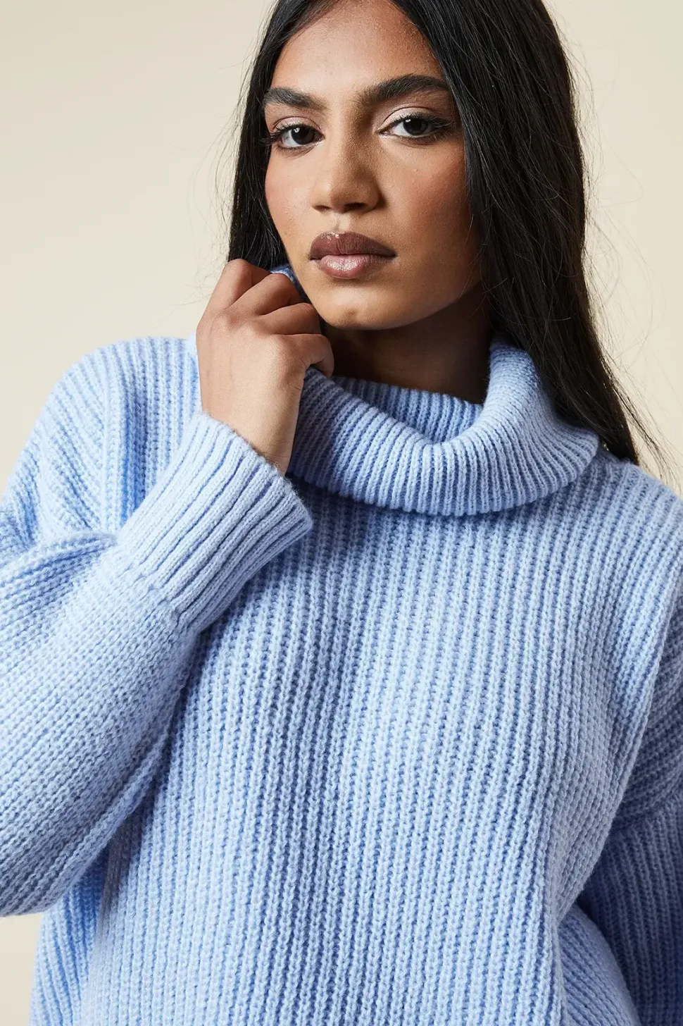 Petite Longline Roll Neck Chunky Jumper