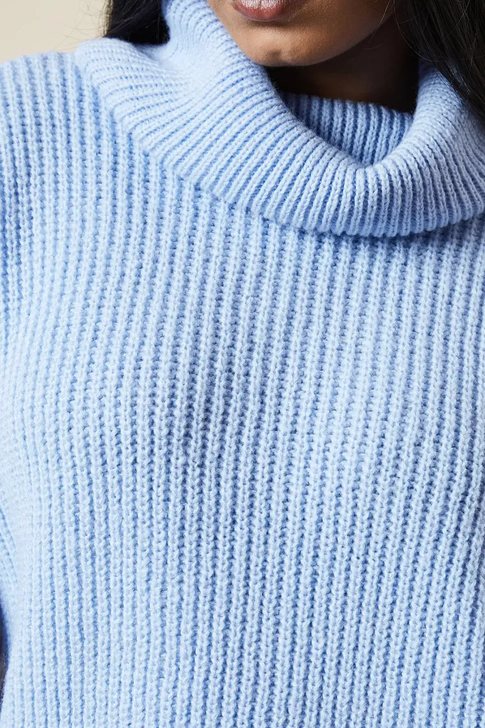 Petite Longline Roll Neck Chunky Jumper