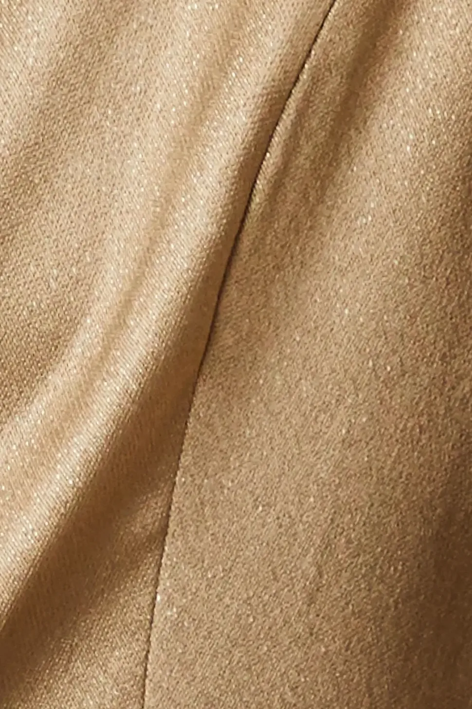 Petite Metallic Double Breasted Blazer