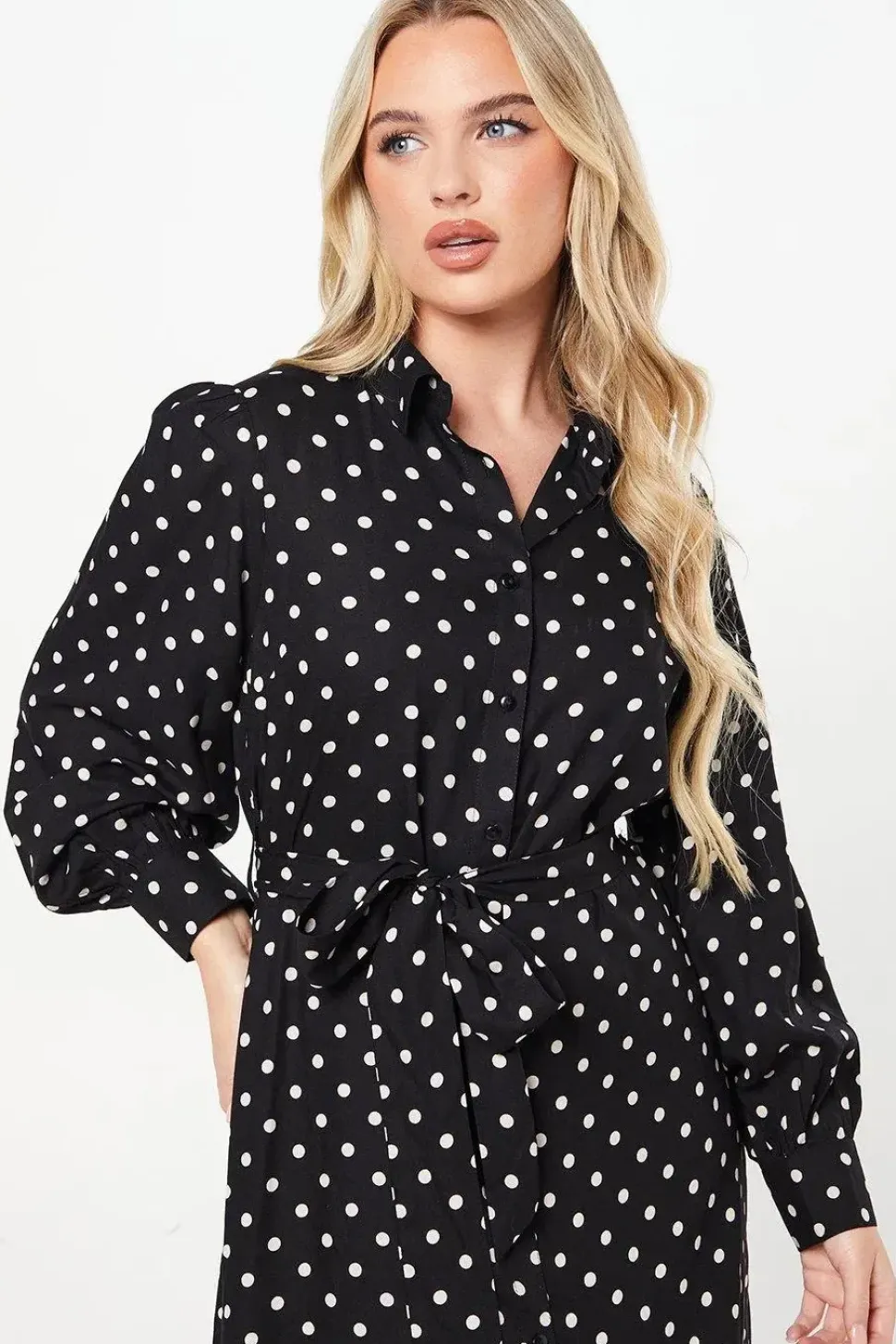 Petite Mono Spot Shirt Dress