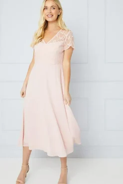 Petite Occasion Lace Short Sleeve Midi Dress