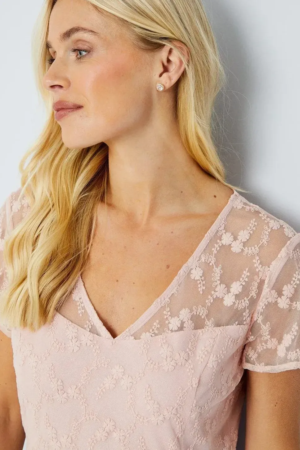 Petite Occasion Lace Short Sleeve Midi Dress