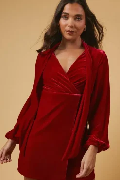 Petite Occasion Velvet Tie Neck Mini Dress