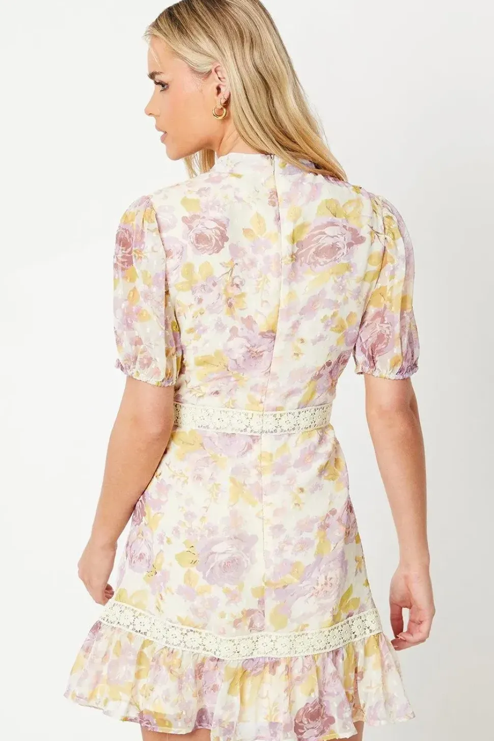 Petite Rose Floral Dobby Chiffon Lace Trim Mini Dress