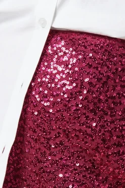 Petite Sequin Mini Skirt
