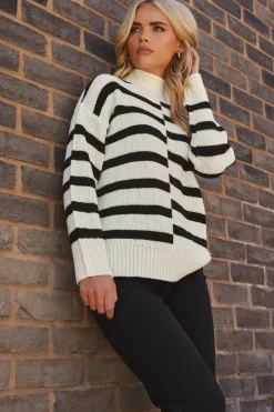 Petite Stripe Turtle Neck Jumper