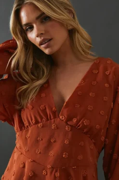 Petite Tufted Dobby Chiffon Plunge Neck Mini Dress