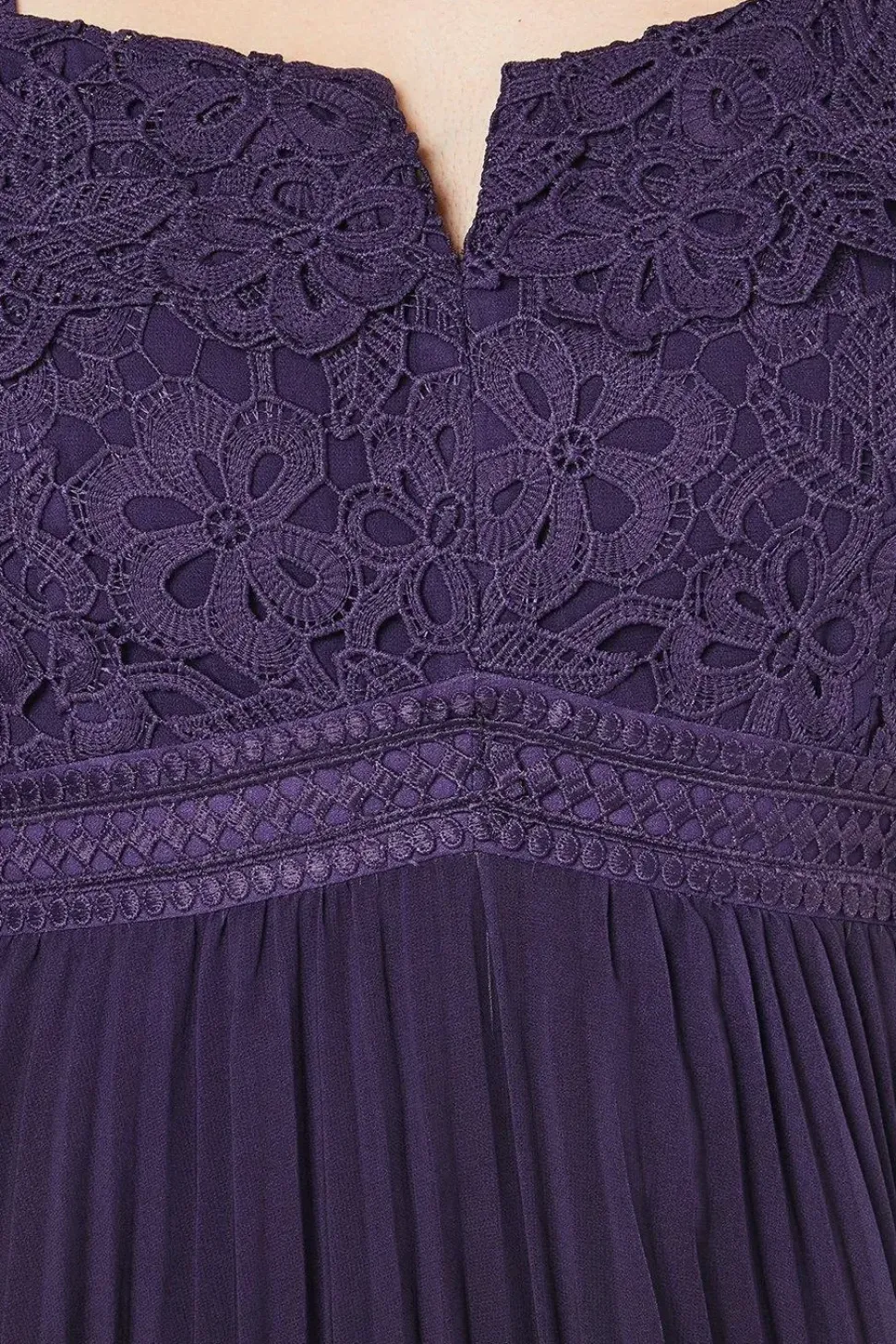 Placement Print Lace Bodice Pleated Skirt Midi Dress