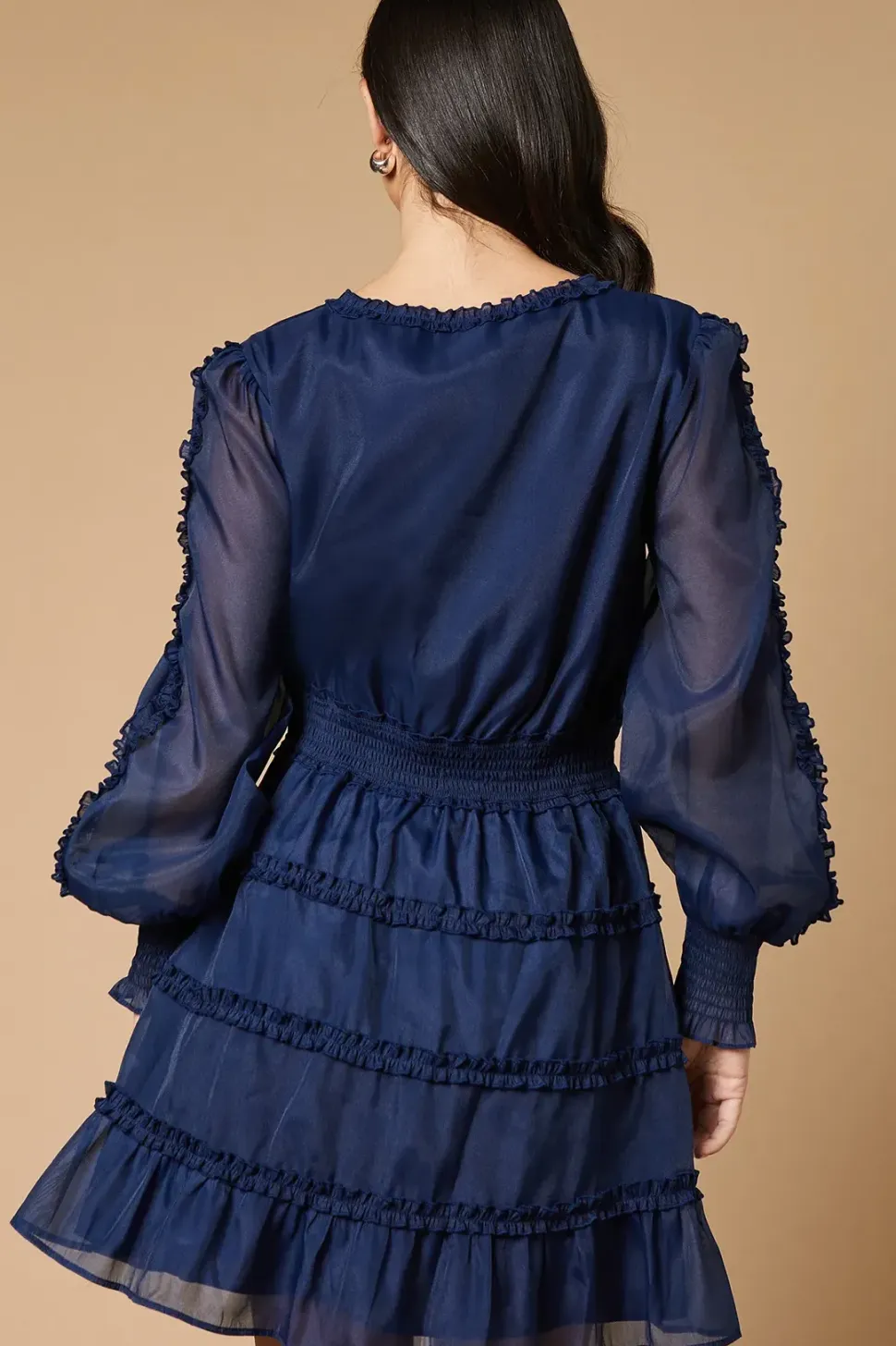 Plain Organza Ruffle Detail Mini Dress