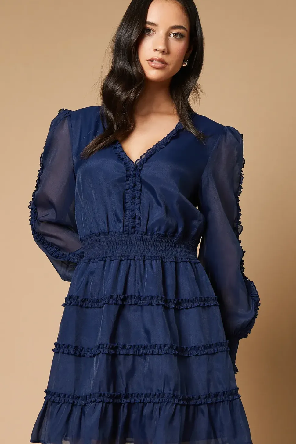 Plain Organza Ruffle Detail Mini Dress