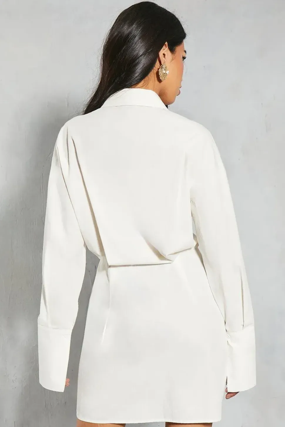 Poplin Fitted Mini Shirt Dress