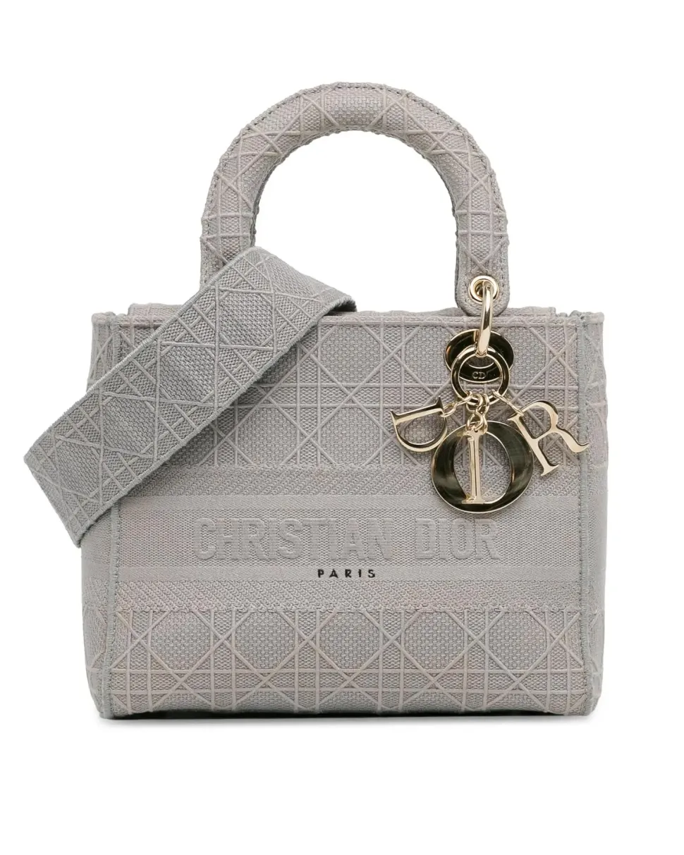 Preloved Mini Calfskin amour Lady with Painted Details and Chain