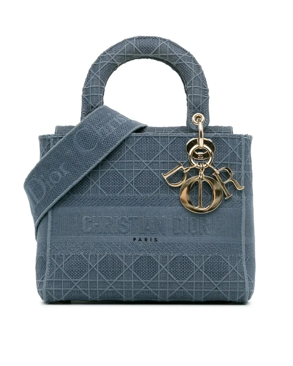 Preloved Mini Calfskin Lady with Painted Details and Detachable Chain