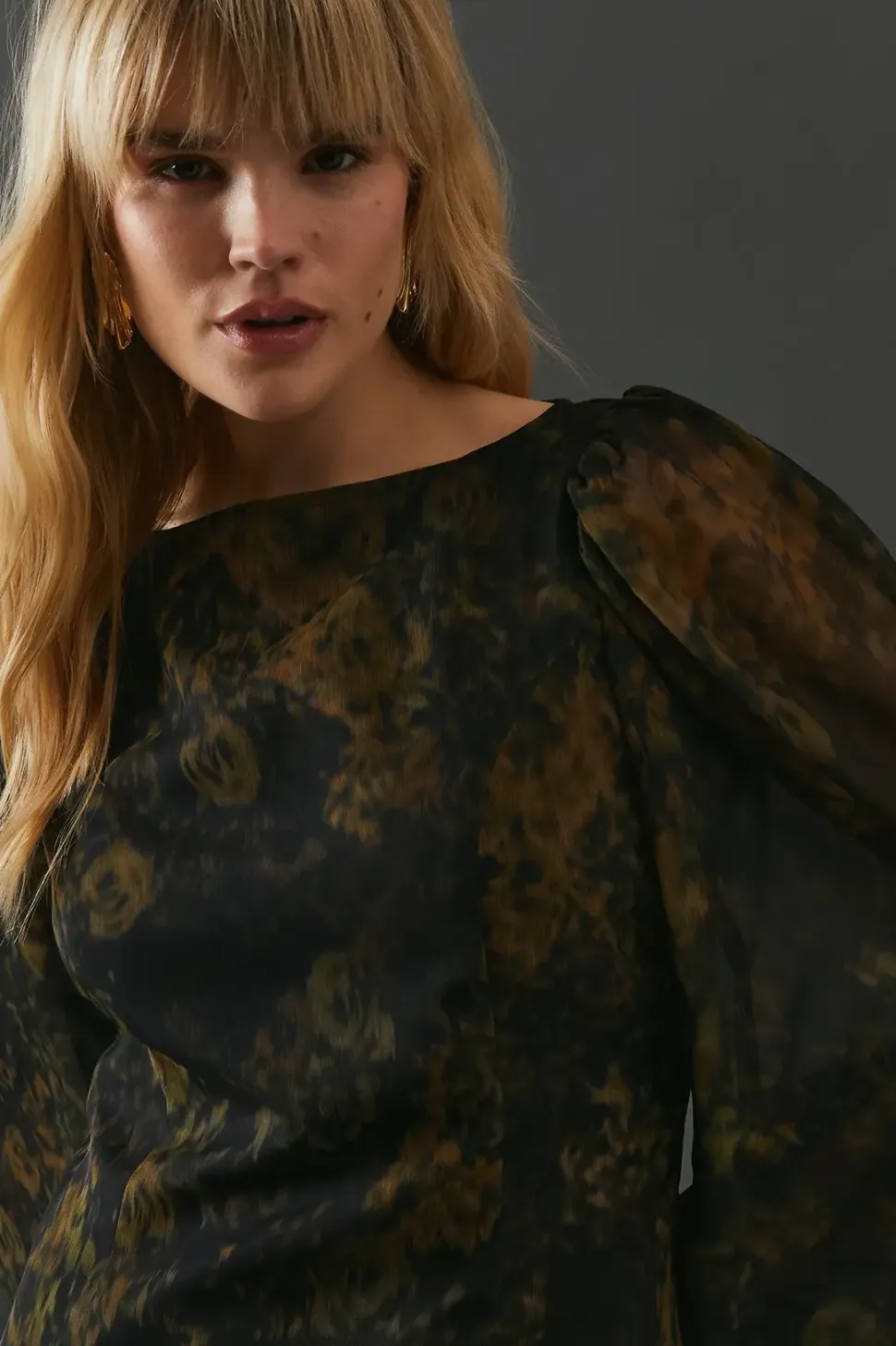 Printed Chiffon Long Sleeve Maxi Dress
