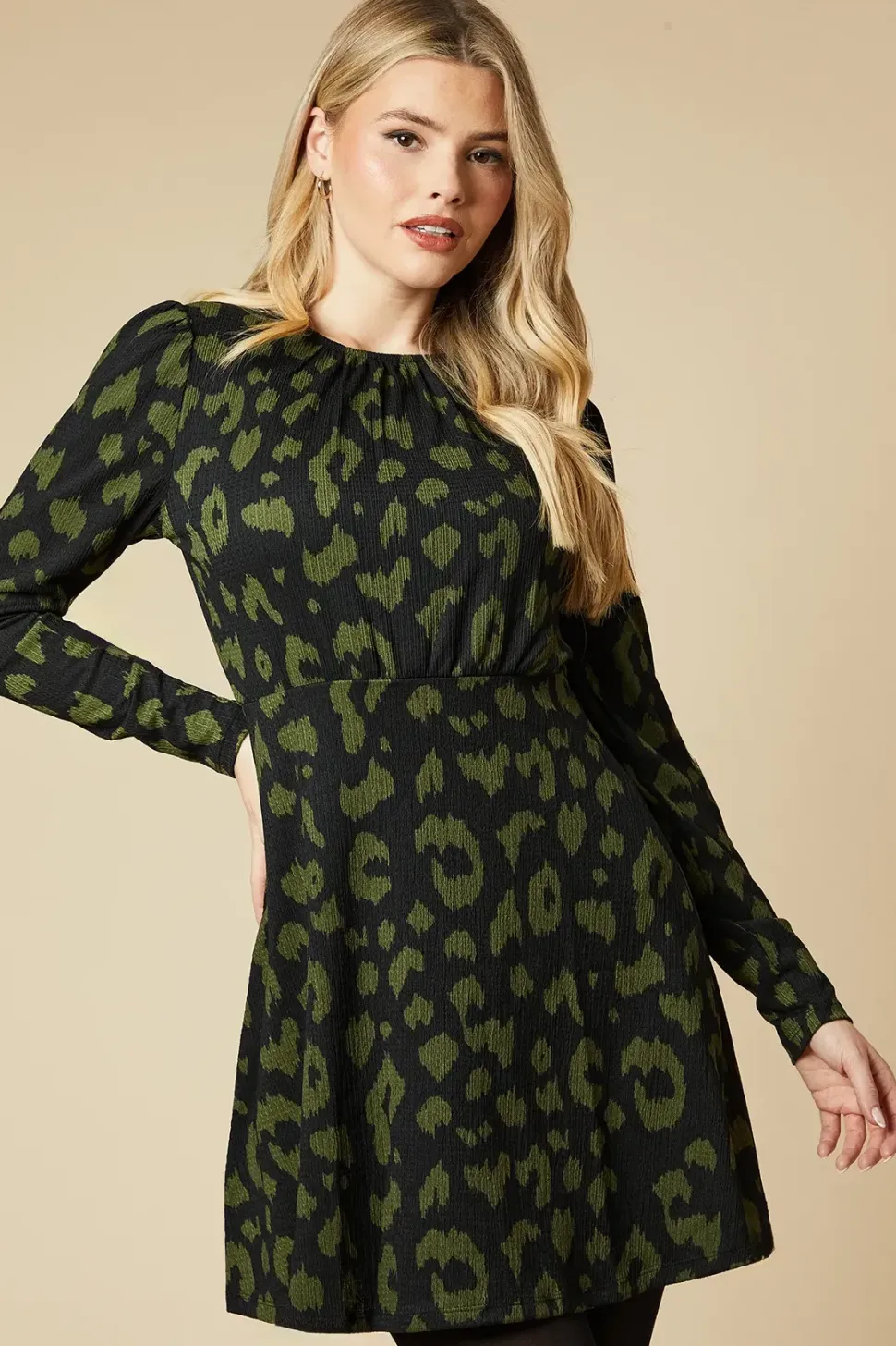 Puff Sleeve Fit And Flare Mini Dress