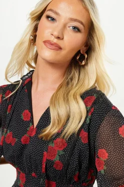 Red Floral Spot Chiffon Lace Insert Long Sleeve Mini Dress