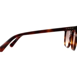 Round Dark Havana Brown Gradient SK0354