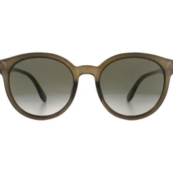 Round Polished Translucent Brown Brown Gradient Sunglasses