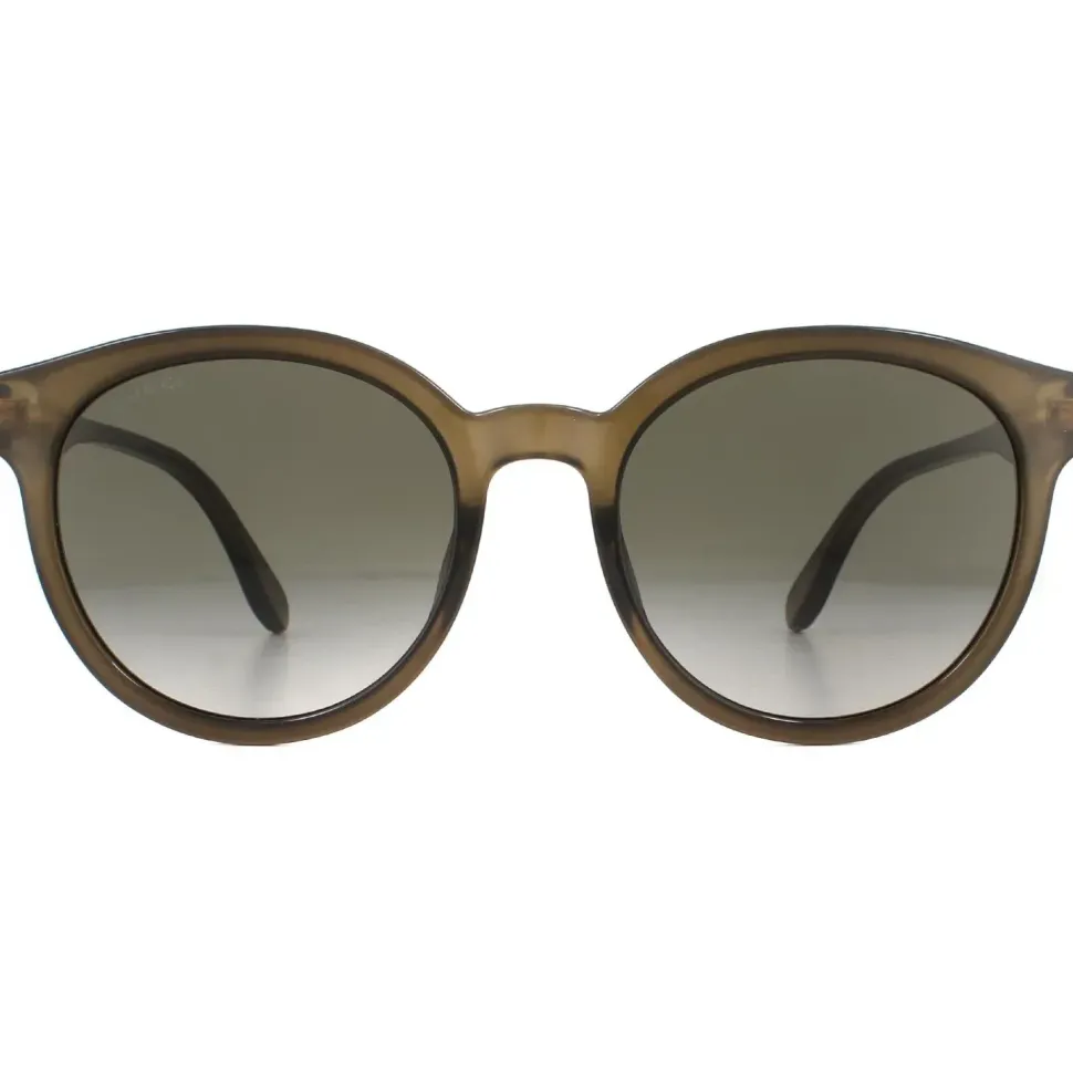 Round Polished Translucent Brown Brown Gradient Sunglasses