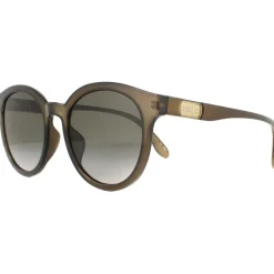 Round Polished Translucent Brown Brown Gradient Sunglasses