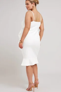 Ruffle Jacquard Dress